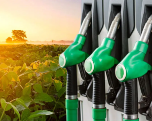 Biocombustível Brasileiro