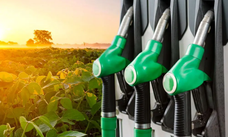 Biocombustível Brasileiro